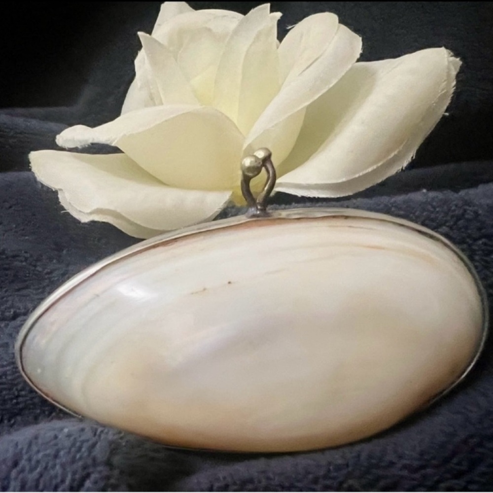French Silver Tone Mother of Pearl Shell Box Or Coin Trinket Purse